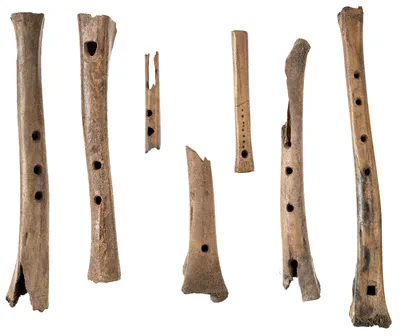 Flutes, sheep bone