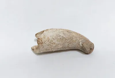 Clay pipe, Sweden, Norrköping, Stjernan